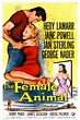 The Female Animal (1958) - FilmAffinity