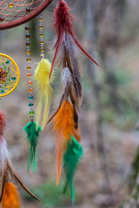 Dreamcatcher Made Of Feathers Leather Beads And Ropes Stock Image