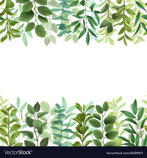 Greenery Seamless Double Border Isolated On White Background Wallpaper