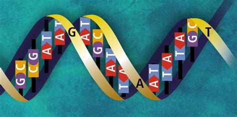 How To Sequence An Entire Genome From A Single Cell Kurzweil