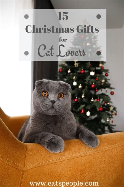15 Christmas Ts For Cat Lovers Cat Christmas T Cat Lover Ts
