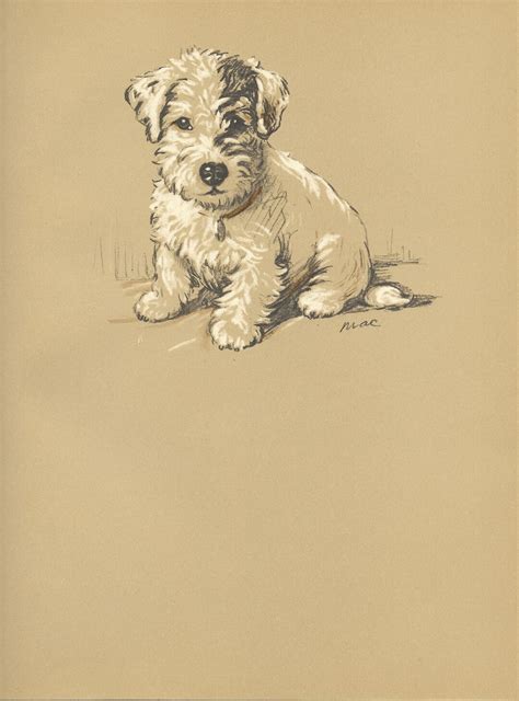 Lucy Dawson 1936 Vintage Dog Print Albert Etsy