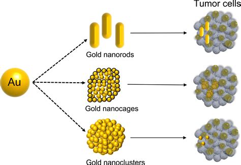 Frontiers The Applications Of Gold Nanoparticles In The Diagnosis And Treatment Of