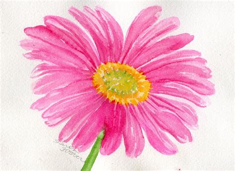 Pink Gerbera Daisy Watercolor Pink Gerber Daisy By Sharonfosterart