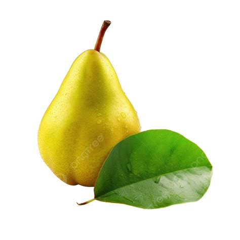 Isolated Fresh Pear Png Free Pear Fruit Background Png Transparent