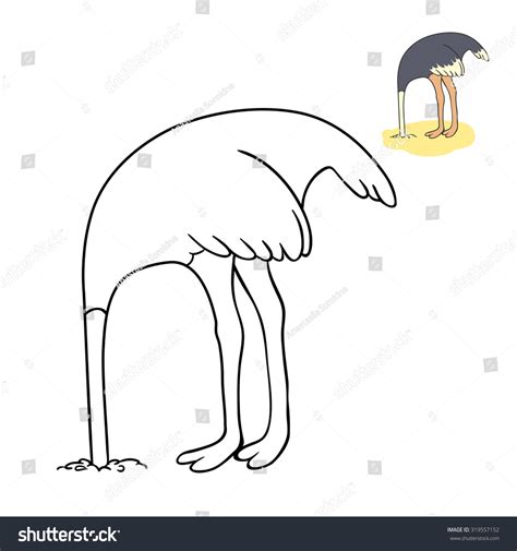 The Ostrich Has Buried A Head In Sand Coloring Book A Vector On A