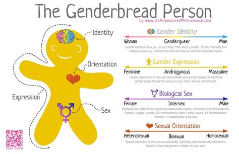 The Genderbread Person Its Pronounced Metrosexual