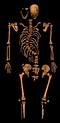 Richard III Genome To Be Sequenced - Archaeology Wiki