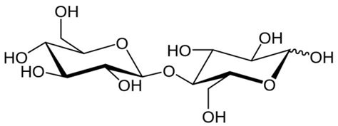 What Is The Difference Between Cellobiose And Maltose Pediaacom