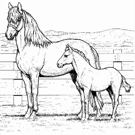 40 Realistic Horse Head Coloring Pages