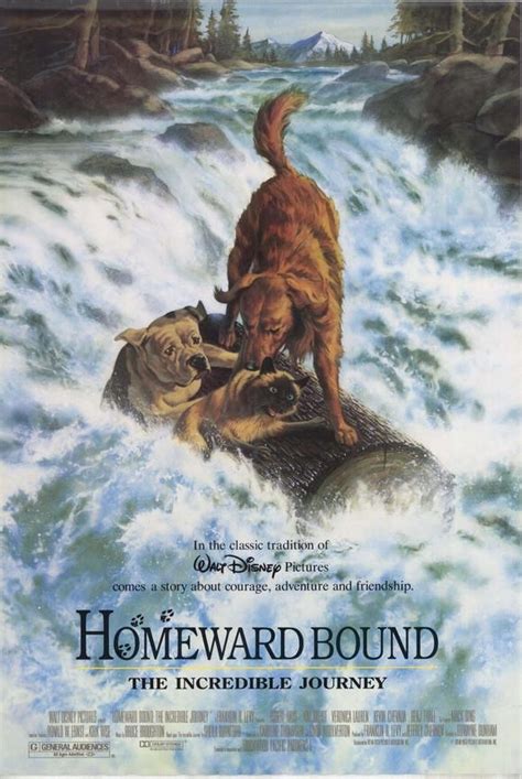 Unsure of what happened, the animals set out on a quest to find their family. Homeward Bound:The Incredible Journey | Princess Disney ...