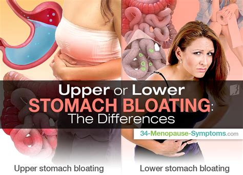 Upper Or Lower Stomach Bloating The Differences Menopause Now