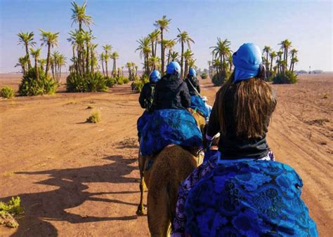 Enjoy a breathtaking sunset from the top of a camel. Guided Desert Morocco : Morocco Private Desert Tours ...