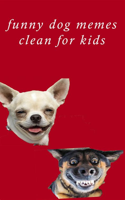 Buy funny dog memes clean for kids: best dog memes , dank dog memes and