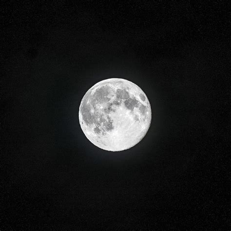Full Moon In The Clear Premium Photo Rawpixel