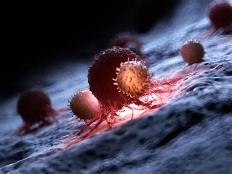 Cancer Des Cellules Modifiées Par Crispr Restent Actives Sciences