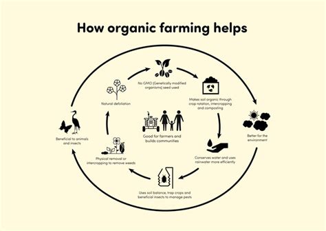 Organic Farming How It Helps To Conserve The Environment The