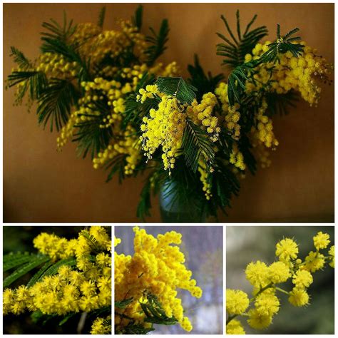 Check spelling or type a new query. 10 of the most fragrant flowers in the review
