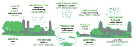 Urban Ecosystem Services Co City