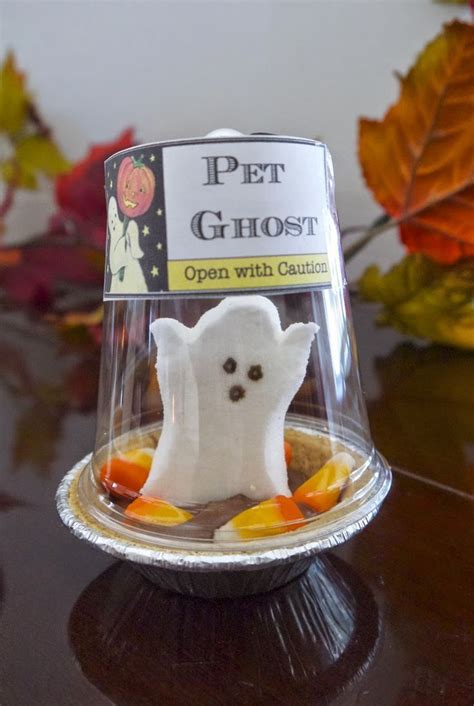 Cute Diy Pet Ghost Peep Halloween Fun Halloween Crafts Halloween Diy