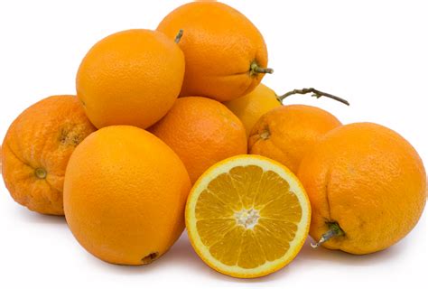 Navelina Oranges Information and Facts