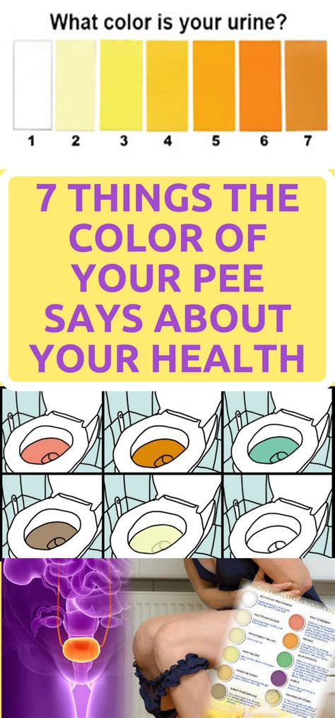 Daily Health Advisor Things The Color Of Your Pee Says About Your