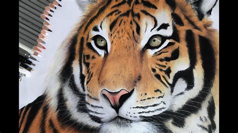 Introduzir Imagem Desenhos De Tigres Realistas Br Thptnganamst