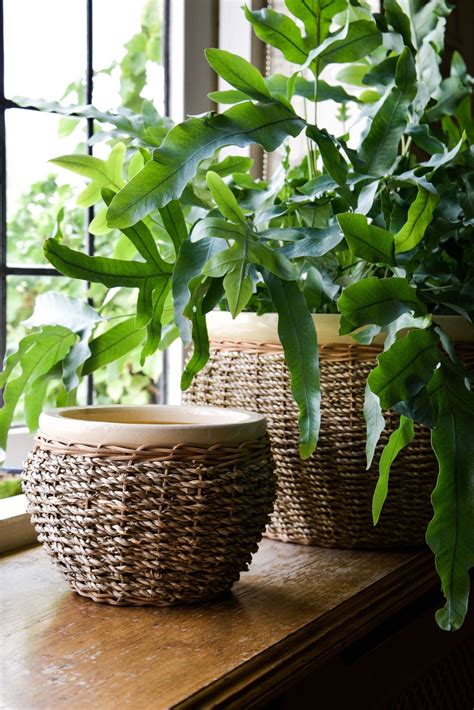 Ivyline Seagrass Wicker Stoneware Indoor Home Planter Plant Pot In