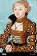 Maria of Saxony (1515-1583), Duchess of Pomerania, portrait painting in ...
