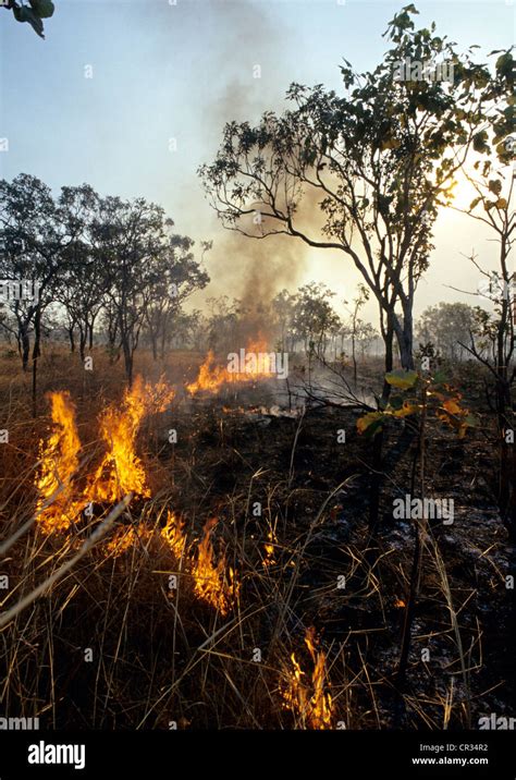 Australia Northern Territory Kakadu National Park Unesco World Heritage Controlled Burn