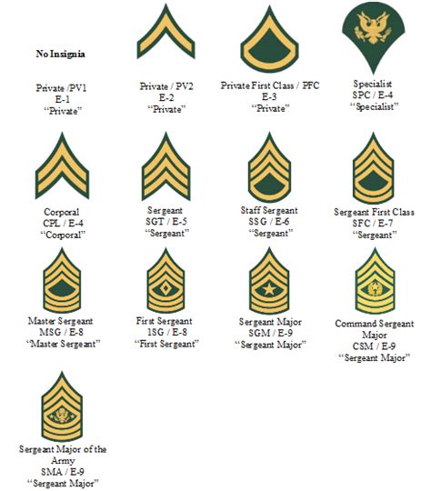 Enlisted, officers, and warrant officers. Enlisted Rank Structure | Army | Pinterest | Army and Military