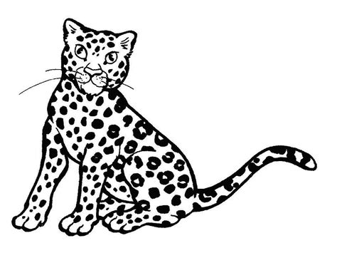 Leopard Pictures To Print Coloring Home