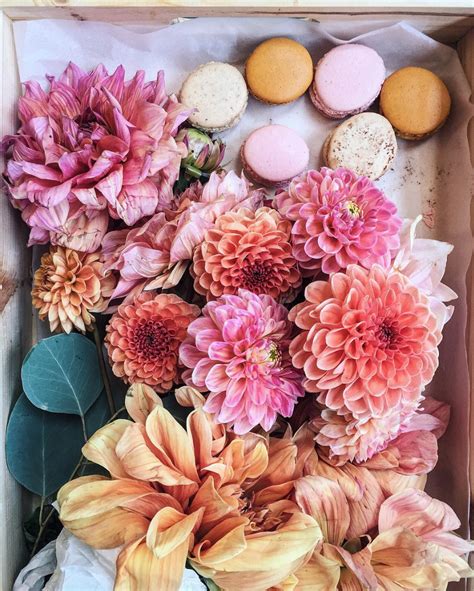 Five Floral Instagram Feeds To Follow Floral Beautiful Blooms
