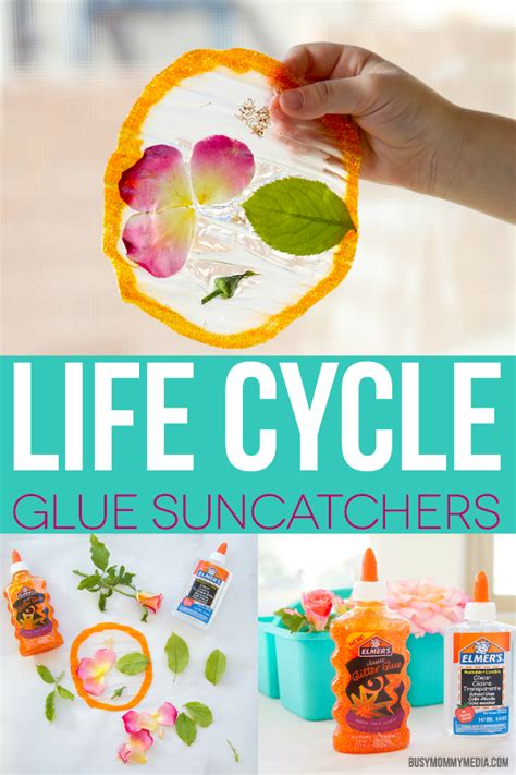 Stem Activity Life Cycle Glue Suncatchers