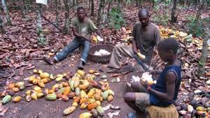 Child Labour Cocoa Chocolate Industry Progressing On Child Labour But