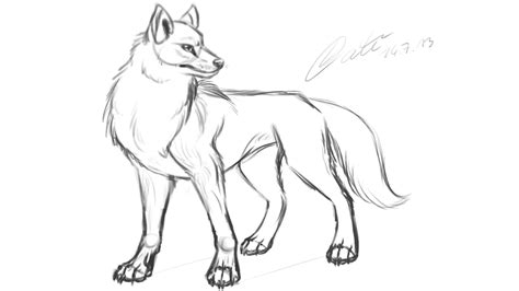 Wolf Basic Drawing At Getdrawings Free Download
