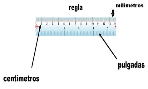 ¿qué Es Una Regla Rígida Graduada Y Sus Características Te Damos La