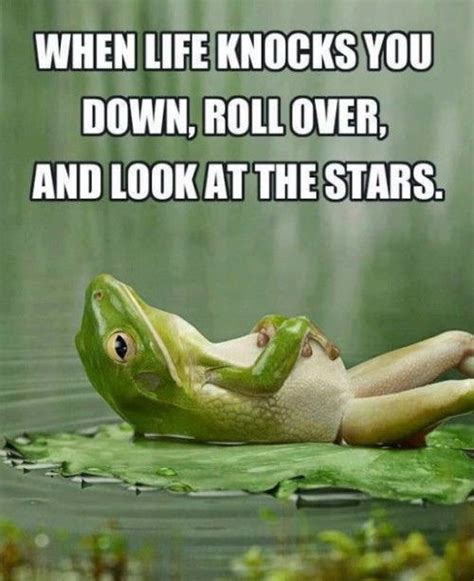 When Life Knocks You Down Roll Over And Look At The Stars Pictures