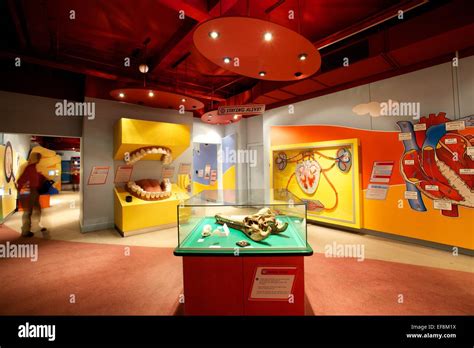 Image Of The Inside Of Thackray Medical Museum Hi Res Stock Photography