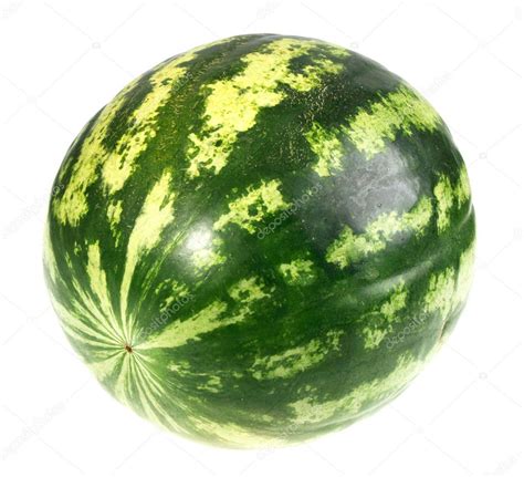 Full Single Striped Green Watermelon — Stock Photo © Boroda 6643865