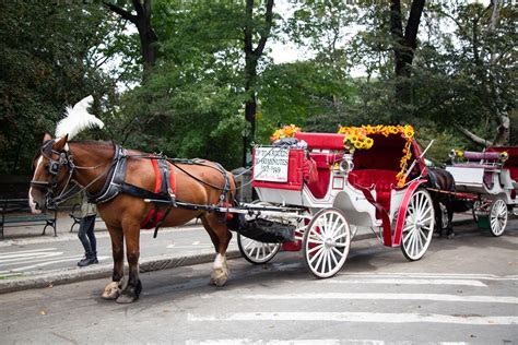 New York City Central Park Horse Carriage Ride 2023 Ph