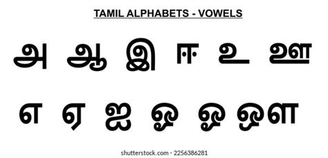 South Indian Language Tamil Alphabets Vowels Stock Vector Royalty Free