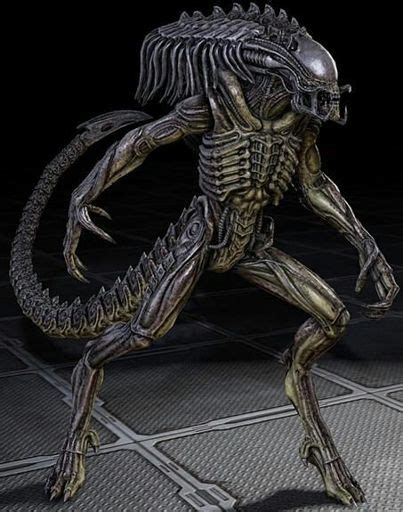 Predalien Wiki Alien Vs Predator Universo Amino