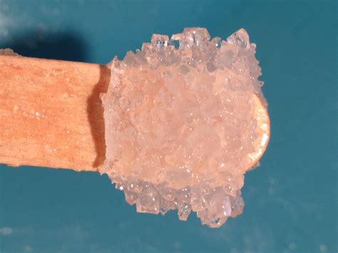 Growing sugar crystals | ingridscience.ca