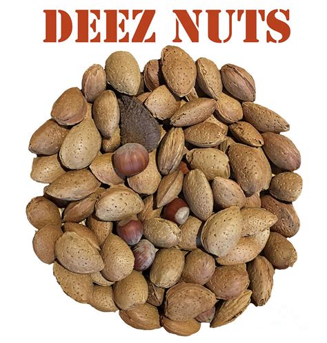 Deez Nuts Photograph By Glenn Harvey 21456 Hot Sex Picture