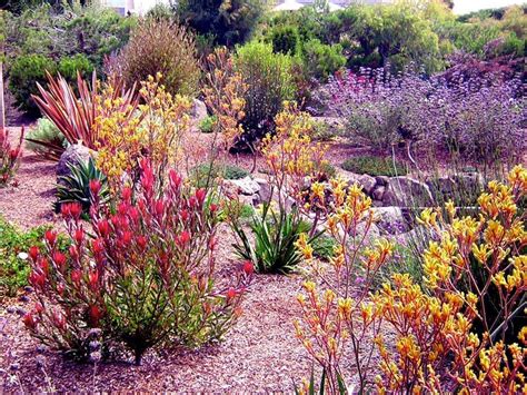 Love The Color Combination In This Drought Tolerant Garden