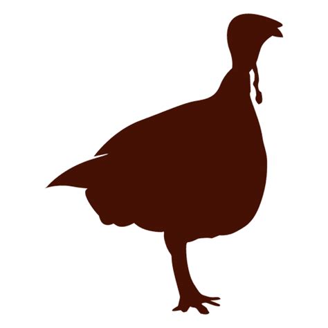 Simple Turkey Silhouette Transparent Png And Svg Vector File