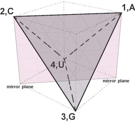 Tetrahedron Inscribed In A Cube With A Mirror Plane The Vertices Of