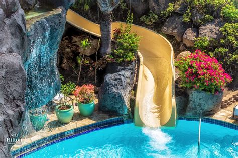 A Water Slide In The Middle Of A Swimming Pool With Flowers Growing On
