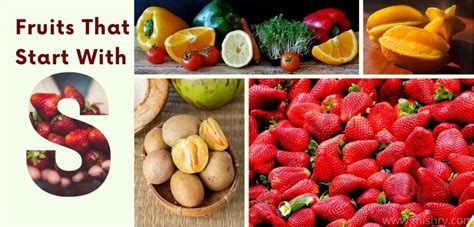 fruits that start with a to z encycloall